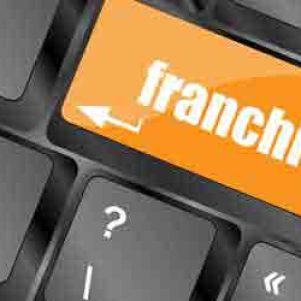 Elements of the franchise contract in Spain