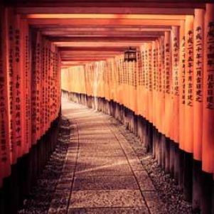 Meeting with the Shanghai Entrepreneurs` Association in Madrid