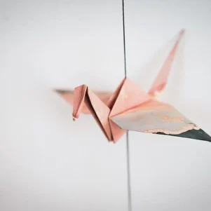 Tender specifications in Spanish public procurement: structure, legal keys, and practical advice